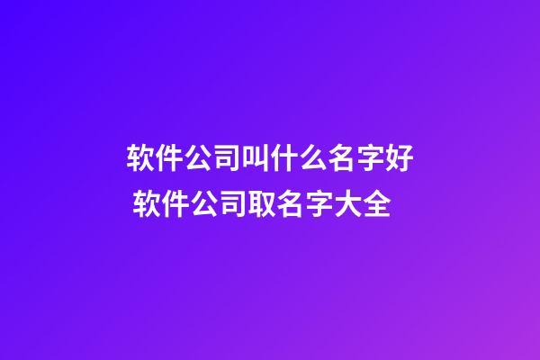 软件公司叫什么名字好 软件公司取名字大全-第1张-公司起名-玄机派